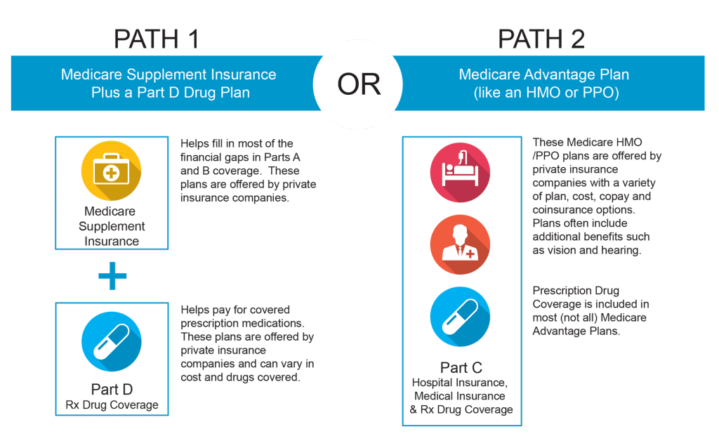 medicare paths infographic crop